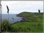 foto Penisola di Dingle